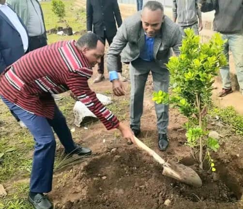 በሚኒስተር ማዕረግ የዲሞክራሲ ግንባታ ማዕከል አስተባባሪ በዶ/ር አለሙ ስሜ የተመራ ልዑክ "በሀዲይ ነፈራ" ችግኝ ተከሉ